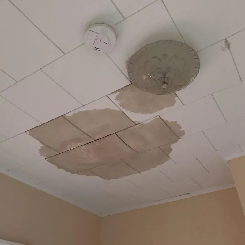 Ceiling Water Damage Repair in Atwater, MN